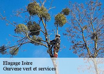 Elagage 38 Isère Gurvene vert et services