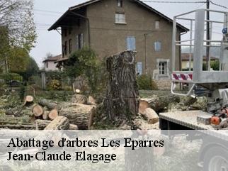 Abattage d'arbres  les-eparres-38300 Jean-Claude Elagage