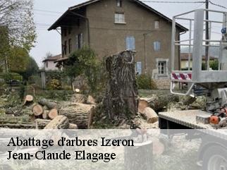 Abattage d'arbres  izeron-38160 Jean-Claude Elagage