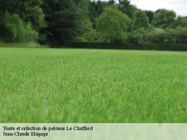 Tonte et refection de pelouse  le-chaffard-38290 Jean-Claude Elagage